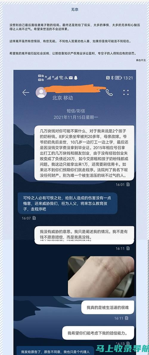 揭秘网站站长收入真相：影响因素与收入来源详解